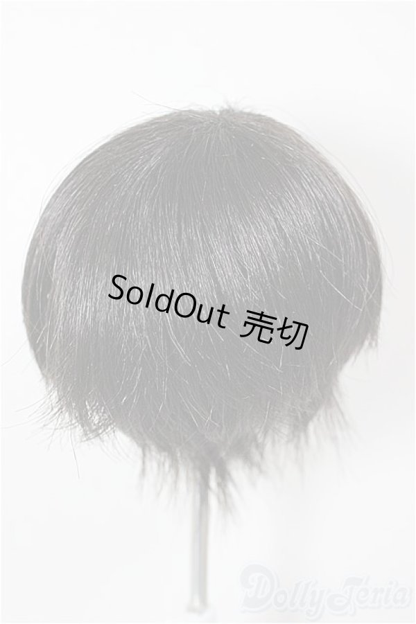 画像2: 7-8inch/ウィッグ/インチ　BJD　MJD　ドール用 A-25-12-03-372-NY-ZA (2)