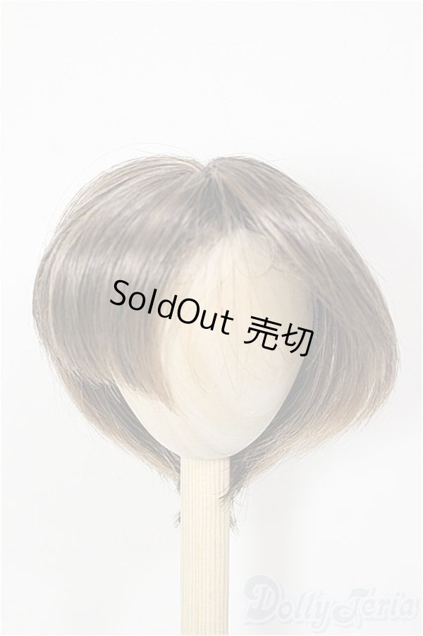 画像1: 9-10inch/ウィッグ/インチ　BJD　MJD　ドール用 A-25-12-03-371-NY-ZA (1)