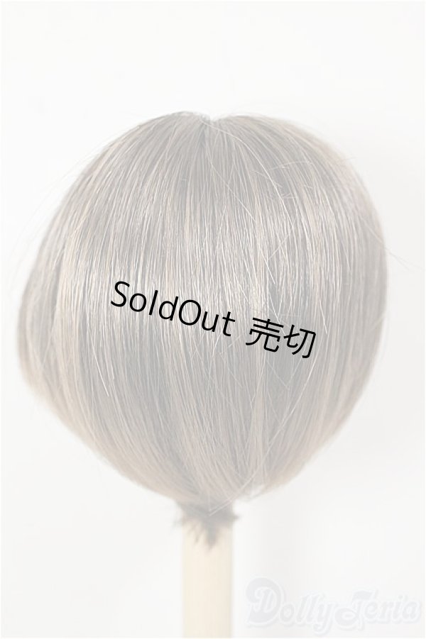 画像2: 9-10inch/ウィッグ/インチ　BJD　MJD　ドール用 A-25-12-03-371-NY-ZA (2)