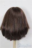 画像2: 9-10inch/ウィッグ/インチ　BJD　MJD　ドール用 A-25-12-03-376-NY-ZA (2)