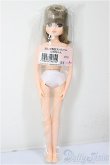 画像2: リカちゃんキャッスル/リカちゃん　ボブ系　お人形教室スペシャル/BJD　球体関節人形 A-25-12-10-104-NY-ZA (2)