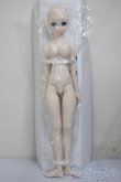 画像5: DDS/レム/BJD　球体関節人形 A-25-12-17-103-NY-ZA (5)