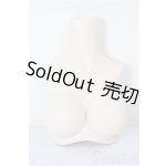 画像: MDD2.0-B-L-FL/MDD上半身パーツL胸/0 A-25-12-10-181-NY-ZA