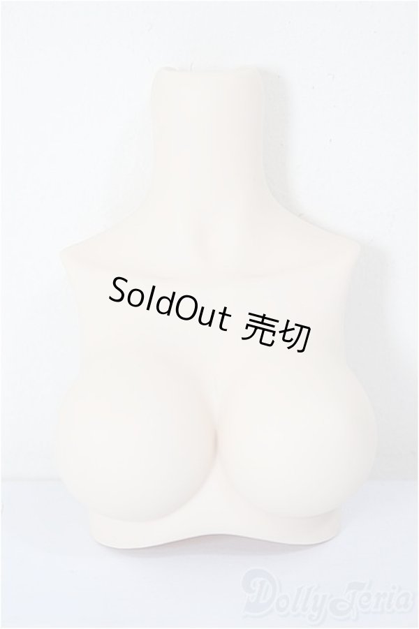 画像1: MDD2.0-B-L-FL/MDD上半身パーツL胸/0 A-25-12-10-181-NY-ZA (1)