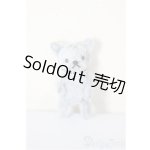 画像: ネオブライス/OF:小物/ファッションドール　衣装 A-25-12-10-197-NY-ZA