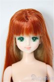 画像1: リカちゃんキャッスル/ジェニー/BJD　球体関節人形 A-25-12-10-164-NY-ZA (1)