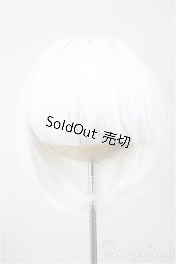 画像1: 9inch/ウィッグ/インチ　BJD　MJD　ドール用 A-25-12-10-263-NY-ZA (1)