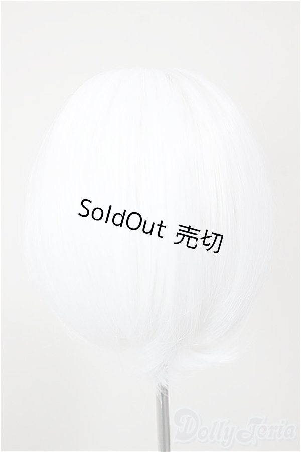 画像2: 9inch/ウィッグ/インチ　BJD　MJD　ドール用 A-25-12-10-263-NY-ZA (2)