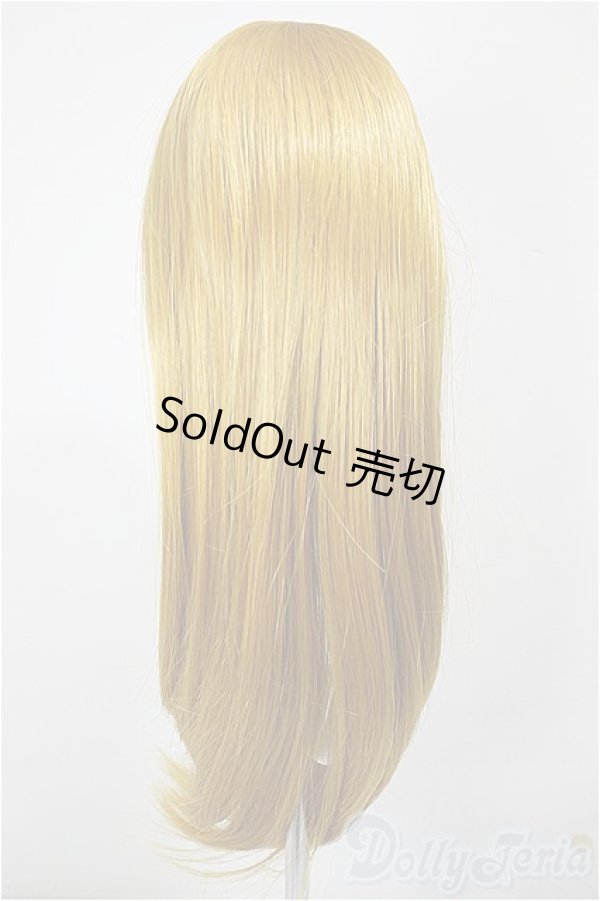 画像2: 8-9inch/ウィッグ/インチ　BJD　MJD　ドール用 A-25-12-10-265-NY-ZA (2)