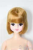 画像1: リカちゃんキャッスル/ユリーシア/BJD　球体関節人形 A-25-12-10-163-NY-ZA (1)