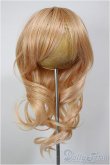 画像1: 8-9inch/ウィッグ/インチ　BJD　MJD　ドール用 A-25-12-10-234-NY-ZA (1)
