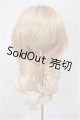 画像: 8-9inch/ウィッグ/インチ　BJD　MJD　ドール用 A-25-12-10-234-NY-ZA