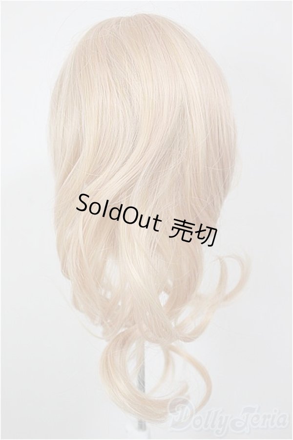 画像2: 8-9inch/ウィッグ/インチ　BJD　MJD　ドール用 A-25-12-10-234-NY-ZA (2)