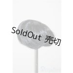 画像: 3.5inch-4inch/ウィッグ/インチ　BJD　MJD　ドール用 A-25-12-10-250-NY-ZA