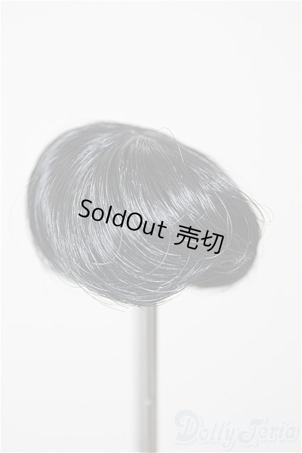 画像1: 3.5inch-4inch/ウィッグ/インチ　BJD　MJD　ドール用 A-25-12-10-250-NY-ZA (1)