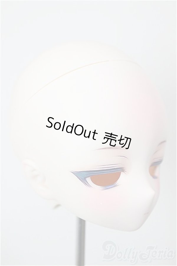 画像2: DD/カスタムヘッド/BJD　球体関節人形 A-25-12-10-260-NY-ZA (2)