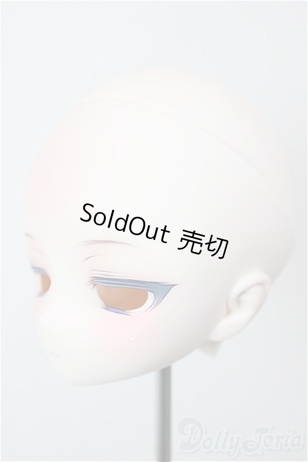 画像3: DD/カスタムヘッド/BJD　球体関節人形 A-25-12-10-260-NY-ZA (3)