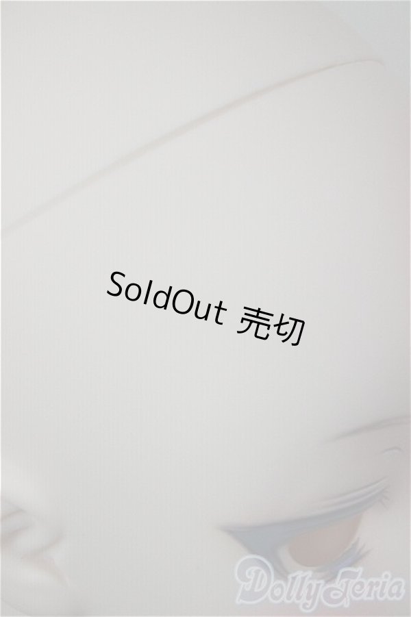 画像5: DD/カスタムヘッド/BJD　球体関節人形 A-25-12-10-260-NY-ZA (5)