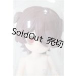 画像: デジタルペットの仮想世界/暴れ子犬/ A-25-12-10-254-NY-ZA