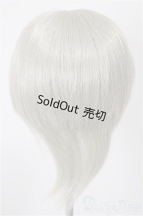 画像2: 7-8inch/ウィッグ　MSDoll製/インチ　BJD　MJD　ドール用 A-25-12-10-204-NY-ZA (2)