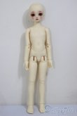画像5: SDM女の子 ここ　スタンダードモデル/BJD　球体関節人形 A-25-12-17-101-NY-ZA (5)