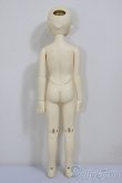 画像6: SDM女の子 ここ　スタンダードモデル/BJD　球体関節人形 A-25-12-17-101-NY-ZA (6)