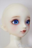 画像3: ＳＤＧＩＲＬ/フルチョイスＦ-60(ここタイプ)/BJD　球体関節人形 A-25-12-17-104-NY-ZA (3)
