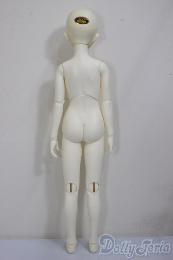 画像5: ＳＤＧＩＲＬ/フルチョイスＦ-60(ここタイプ)/BJD　球体関節人形 A-25-12-17-104-NY-ZA (5)