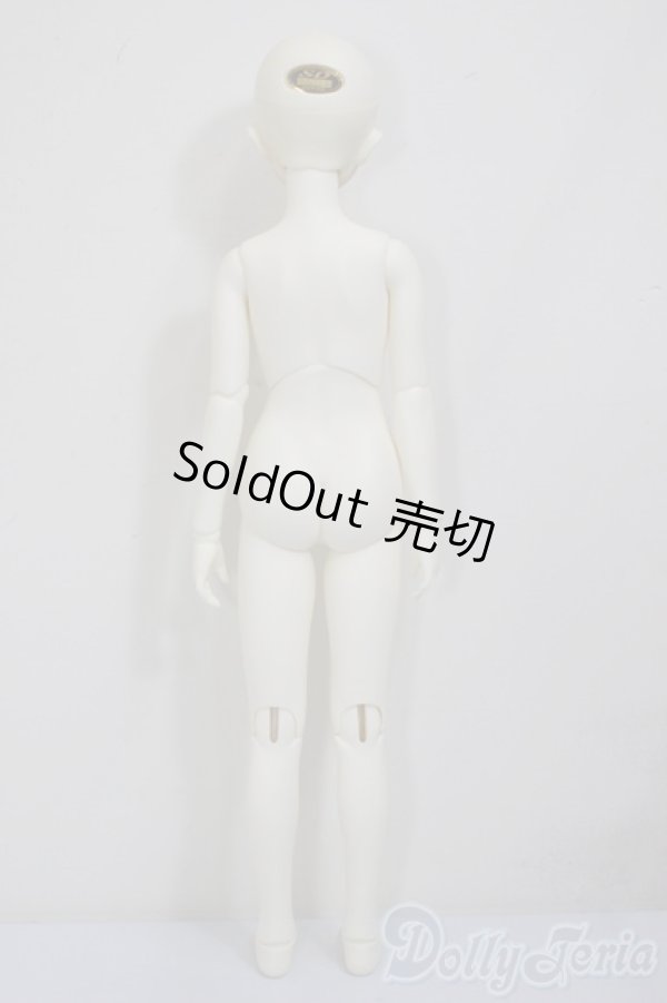 画像5: ＳＤＧＩＲＬ/フルチョイスＦ-60(ここタイプ)/BJD　球体関節人形 A-25-12-17-104-NY-ZA (5)