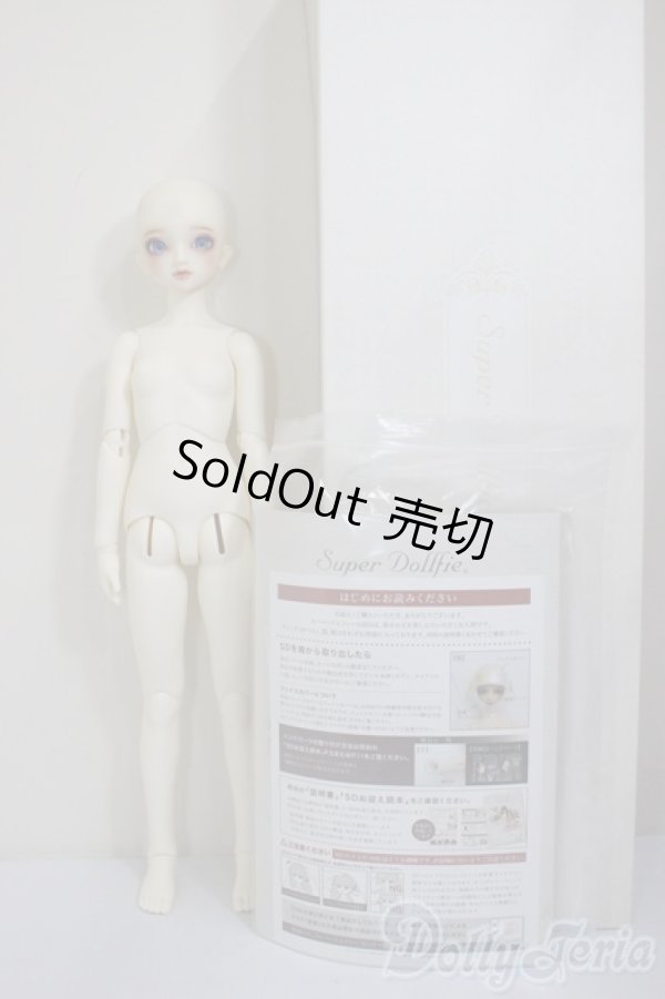画像6: ＳＤＧＩＲＬ/フルチョイスＦ-60(ここタイプ)/BJD　球体関節人形 A-25-12-17-104-NY-ZA (6)