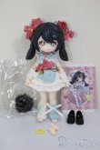 画像4: 不可食用人形/ドール 月飛び時間/雨晴/ A-25-12-17-220-NY-ZA (4)