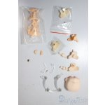 画像: ねんどろいどどーる/パーツ/ A-25-12-17-210-NY-ZA