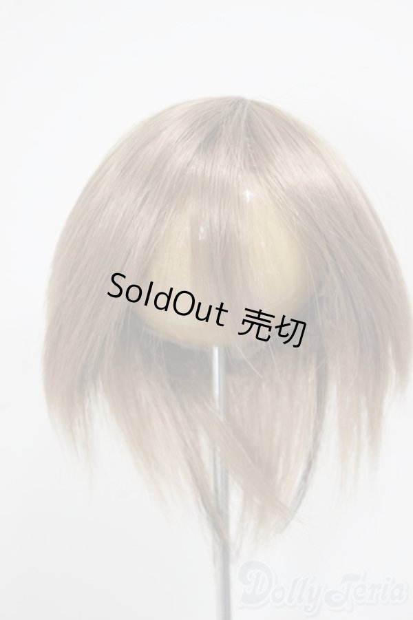 画像1: 8-9inch/ウィッグ/インチ　BJD　MJD　ドール用 A-25-12-17-228-NY-ZA (1)