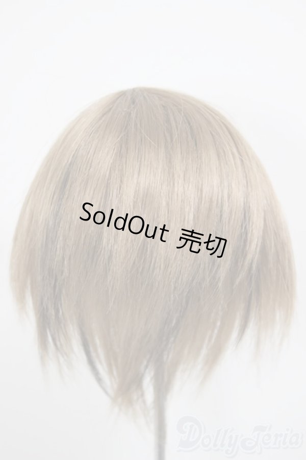 画像2: 8-9inch/ウィッグ/インチ　BJD　MJD　ドール用 A-25-12-17-228-NY-ZA (2)