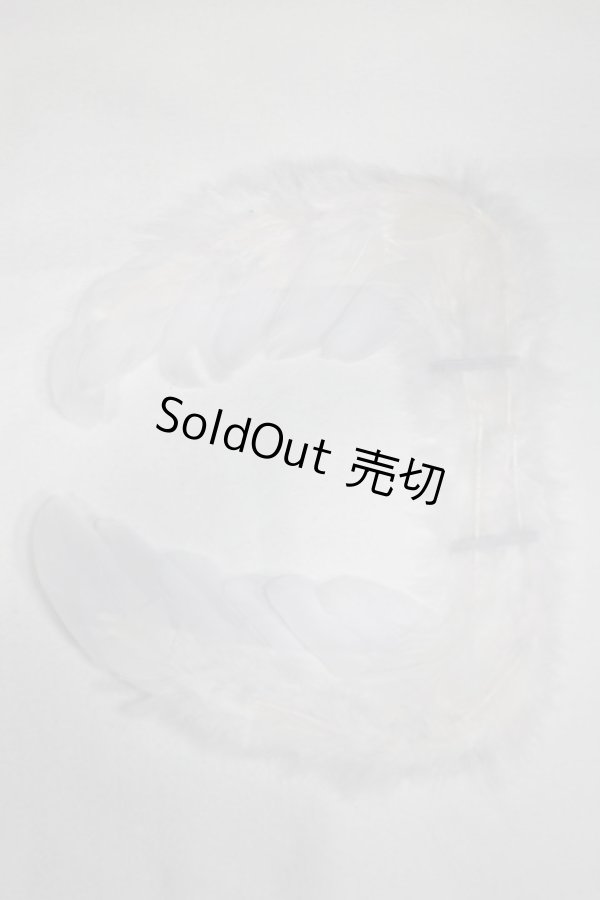 画像1: SDM/OF:羽/1/4　40ｃｍ　BJD　MJD　衣装　ドール用 A-25-12-24-040-NY-ZA (1)