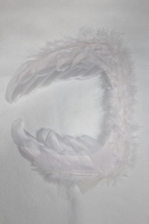 画像2: SDM/OF:羽/1/4　40ｃｍ　BJD　MJD　衣装　ドール用 A-25-12-24-040-NY-ZA (2)