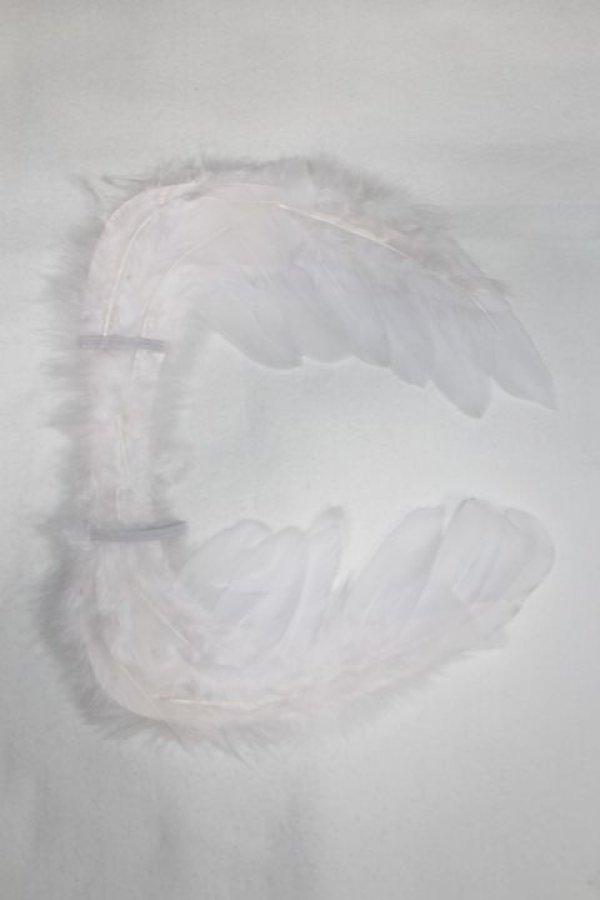 画像1: SDM/OF:羽/1/4　40ｃｍ　BJD　MJD　衣装　ドール用 A-25-12-24-039-NY-ZA (1)