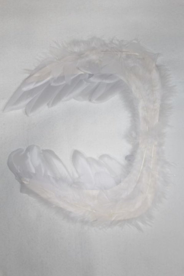 画像2: SDM/OF:羽/1/4　40ｃｍ　BJD　MJD　衣装　ドール用 A-25-12-24-039-NY-ZA (2)