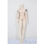 画像: シチリアの追憶/ボディ/ A-25-12-17-236-NY-ZA