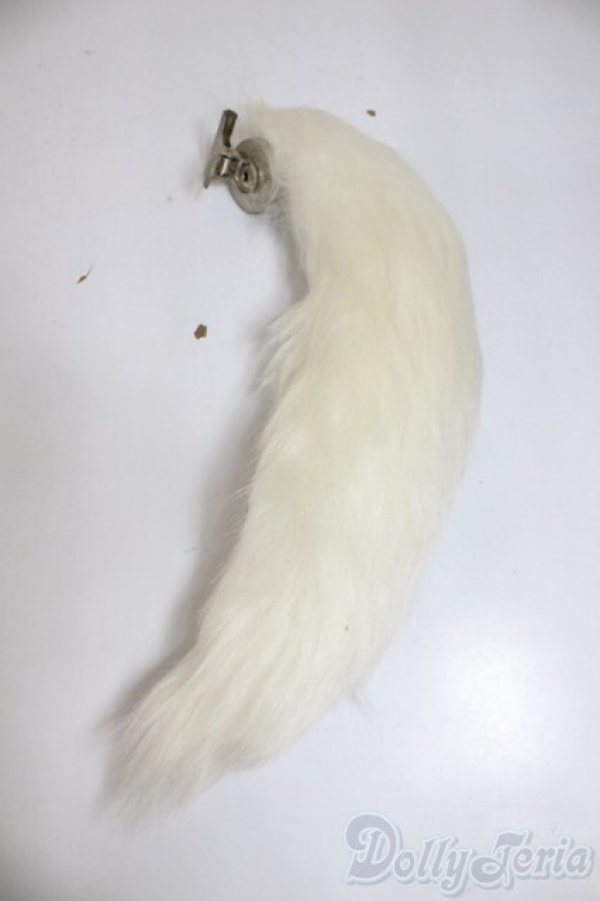 画像1: MDD/OF:尻尾/0 A-25-12-17-167-NY-ZA (1)