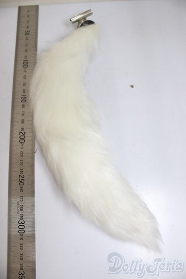 画像2: MDD/OF:尻尾/0 A-25-12-17-167-NY-ZA (2)