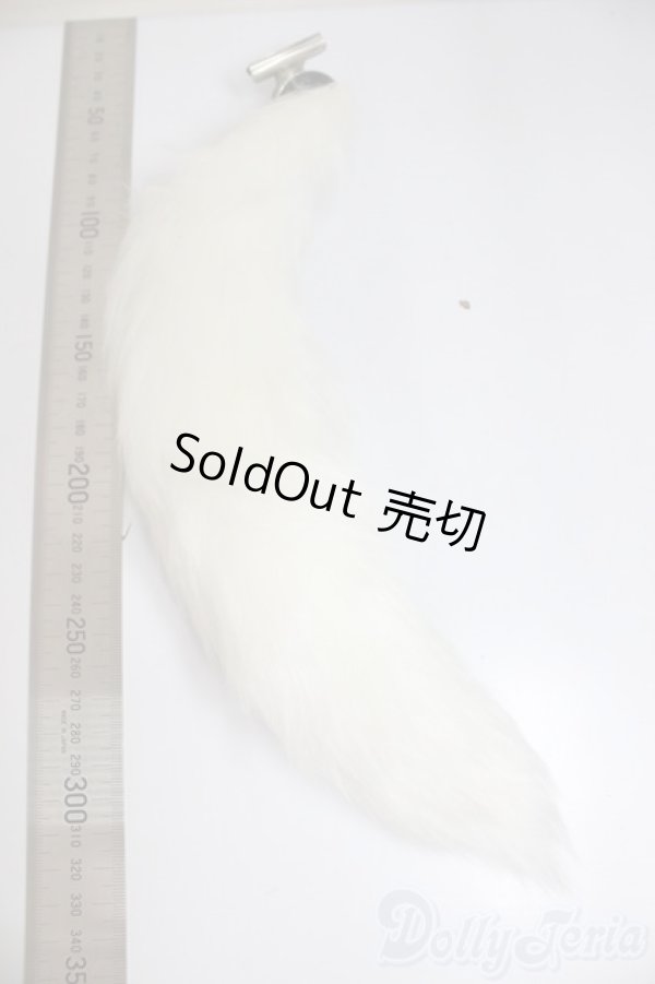 画像2: MDD/OF:尻尾/0 A-25-12-17-167-NY-ZA (2)