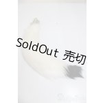 画像: MDD/OF:尻尾 A-26-06-08-681-NY-ZA
