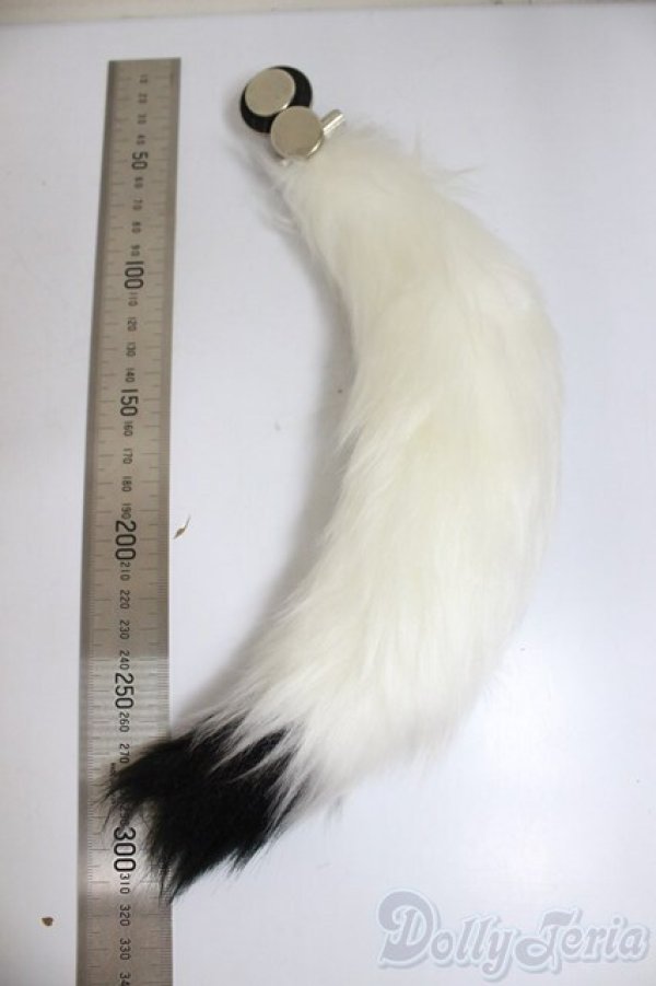 画像2: MDD/OF:尻尾/0 A-25-12-17-166-NY-ZA (2)