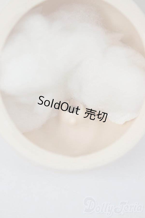 画像6: DD/DDH-01:カスタムヘッド/BJD　球体関節人形 A-25-12-17-137-NY-ZA (6)