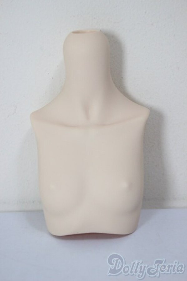 画像1: MDD/上半身パーツ/BJD　球体関節人形 A-25-12-17-115-NY-ZA (1)