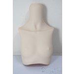 画像: MDD/上半身パーツ/BJD　球体関節人形 A-25-12-17-116-NY-ZA