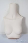 画像1: MDD/上半身パーツ/BJD　球体関節人形 A-25-12-17-114-NY-ZA (1)