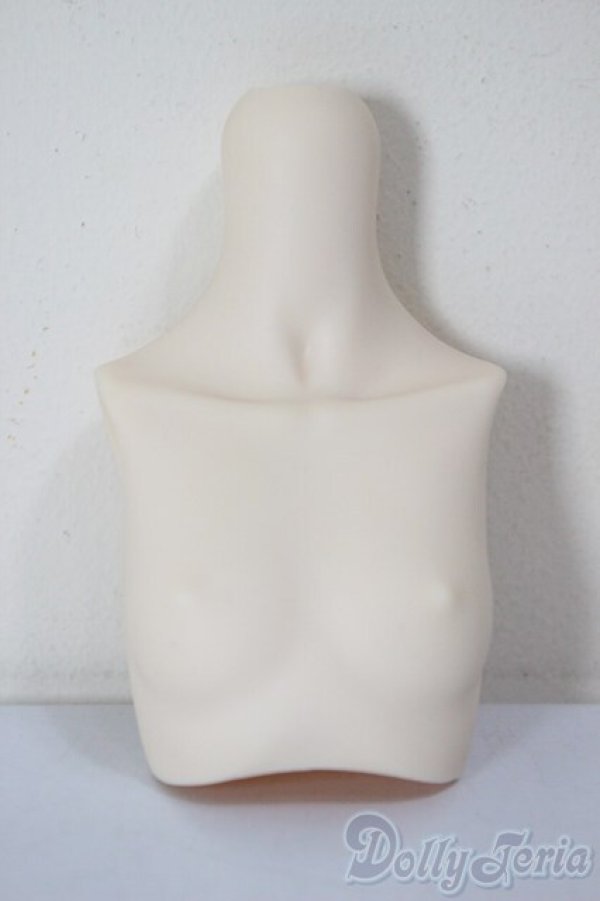 画像1: MDD/上半身パーツ/BJD　球体関節人形 A-25-12-17-111-NY-ZA (1)