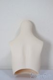 画像2: MDD/上半身パーツ/BJD　球体関節人形 A-25-12-17-111-NY-ZA (2)